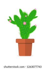 vector drawing cactus in a flower pot