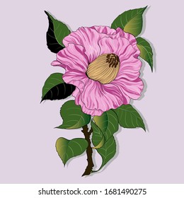 Vector drawing. Camellia - a branch with a flower and leaves. Exotic flower on a light background. Use printed materials, signs, objects, sites, maps.