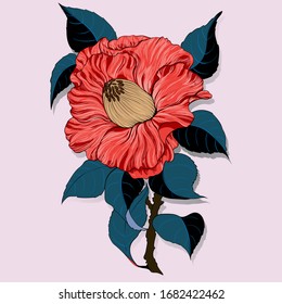 Vector drawing. Camellia - a branch with a flower and leaves. Exotic flower on a light background. Use printed materials, signs, objects, sites, maps.