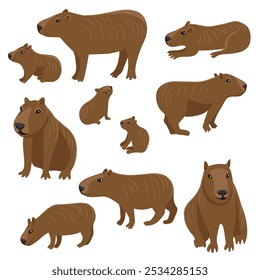 Vector que dibuja el capibara, animales aislados en el fondo blanco