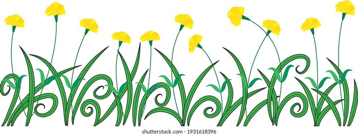 vector drawing carnation flowers garden

