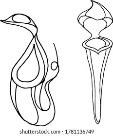 Vector drawing of carnivorous predatory plants. Nature. Sketch, illustration. decorative