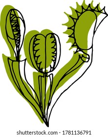 Vector drawing of carnivorous predatory plants. Nature. Sketch, illustration. decorative
