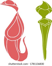 Vector drawing of carnivorous predatory plants. Nature. Sketch, illustration. decorative