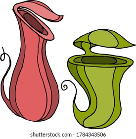 Vector drawing of carnivorous predatory plants. Nature. Sketch, illustration. decorative