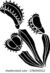 Vector drawing of carnivorous predatory plants. Nature. Sketch, illustration. decorative