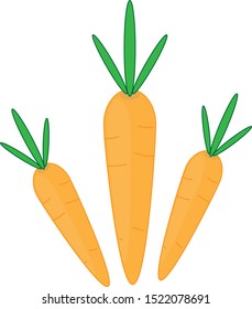 vector drawing carrot on white background