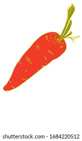 Vector drawing carrot red
isolated on a white background. Isolated drawing carrot stencil for printing on objects, clothes, packaging, bed, designers