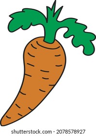 vector drawing carrots from the vegetable garden