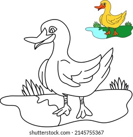 vector drawing of cartoon duck, for coloring book.