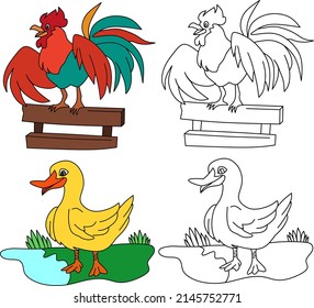 vector drawing of a cartoon rooster and duck, for coloring book.