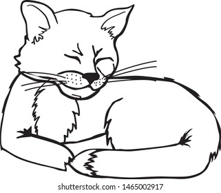 Vector Drawing of a Cat