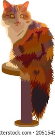 Vector drawing of a cat. Beautiful fluffy cat. For print.