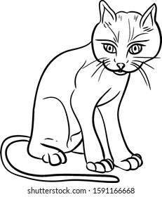 Vector drawing of a cat. Black and white stroke. Can be used for coloring, background, magazine, design.