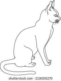 vector drawing a cat for coloring.drawing isolated on white background