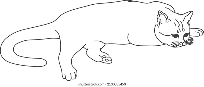 vector drawing a cat for coloring.drawing isolated on white background