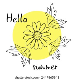 Vector drawing of chamomile flower with black line leaves. Laconic card in flat style with yellow circle. Minimalistic design with the inscription Hello Summer. Editable element in square