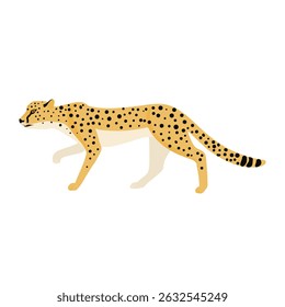 vector drawing cheetah, animal isolated at white background
