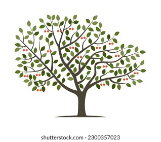 Vector drawing of cherry tree. Nature and ecology. Isolated vector illustration of cherry tree on a white background for social networks, posters, cards.