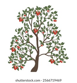 vector drawing cherry tree with red berries and green leaves isolated at white background, hand drawn illustration