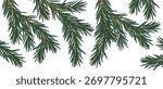 vector drawing Christmas background, fir branches with green needles , hand drawn illustration