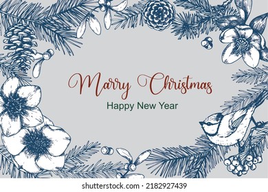 vector drawing christmas card, frame. vintage graphics, retro style, sketch. Christmas plants, holly, mistletoe, Christmas tree branches and cones