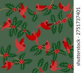 vector drawing Christmas composition, red cardinal birds at holly branch with green leaves and red berries, hand drawn illustration