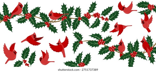 vector drawing Christmas composition, red cardinal birds at holly branch with green leaves and red berries, hand drawn illustration