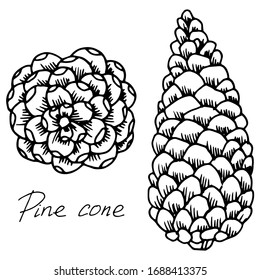 Vektorillustration von Weihnachtskonen. Waldkegel. Kiefernkegel. Die Natur. Skizze, Illustration.