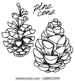Vektorillustration von Weihnachtskonen. Waldkegel. Kiefernkegel. Die Natur. Skizze, Illustration.