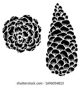 Vector drawing of christmas cones. Forest cones. Pine cone. Nature. Sketch, illustration.
