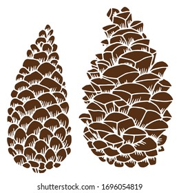 Vector drawing of christmas cones. Forest cones. Pine cone. Nature. Sketch, illustration.