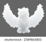 Vector drawing of clouds in the form of a bird, owl. Soft lines and smooth gradients create a feeling of lightness and airiness, ideal for fantasies and creative projects.