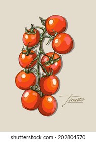 Vector drawing of a cluster of red tomatoes