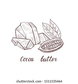 vector drawing cocoa butter, hand drawn illustration