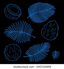 Vector drawing with coconuts and palm leaves on a black background. Contour drawing in doodle style.