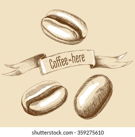 Vector drawing coffee beans and ribbon. Vintage style. For menu a coffee house, a restaurant, a cafe. Engraving. Pencil style.