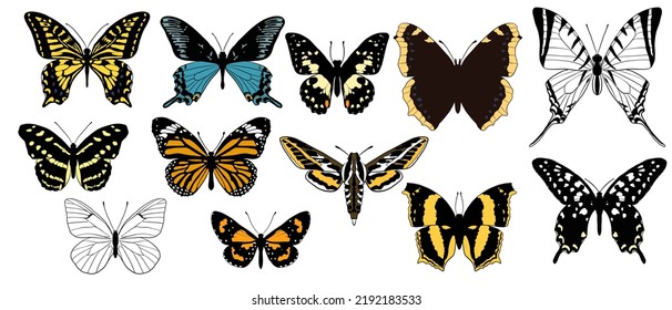 vector drawing collection of butterflies, isolated at white background, hand drawn illustration svg