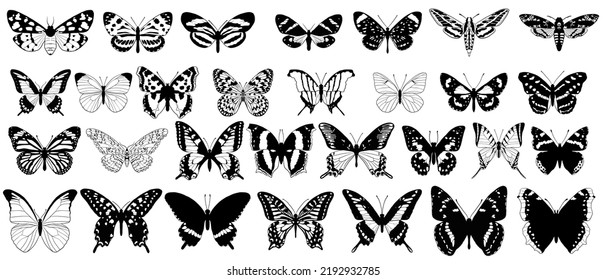 vector drawing collection of butterflies, monochrome elements isolated at white background, hand drawn illustration