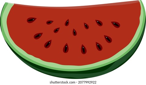 Vector drawing of colored slices of watermelon. A piece of a large red berry. Piece of large pitted fruit
