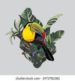 vector drawing of a colorful toucan bird sitting on a branch of a tropical tree