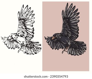 vector drawing coloring book wild bird raven in flight