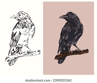 vector drawing coloring wild bird raven sitting on a branch