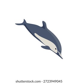 Vector que dibuja el delfín común aislado en el fondo blanco, ilustración dibujada a mano