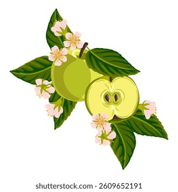 vector drawing composition with apple fruits,flowers and green leaves isolated at white background, hand drawn illustration