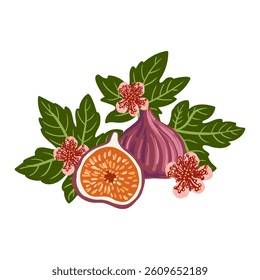 vector drawing composition with fig fruits,flowers and green leaves isolated at white background, hand drawn illustration