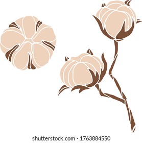 Vector drawing of cotton flowers. Nature. Sketch, illustration. decorative