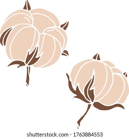 Vector drawing of cotton flowers. Nature. Sketch, illustration. decorative