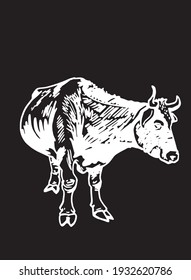 Vector drawing of cow standing isolated on black background, cattle	
