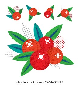 Vector drawing of a cranberry. Stylized bright modern drawing of a berry with leaves. 